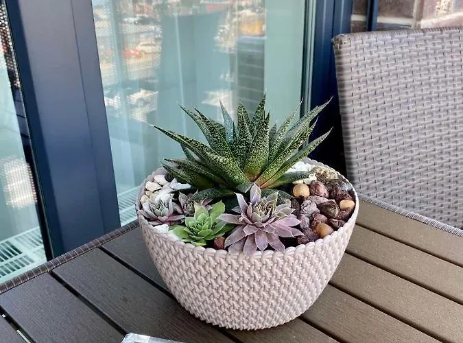 Oase - Luxurious Near The Center With Free Parking Appartement *